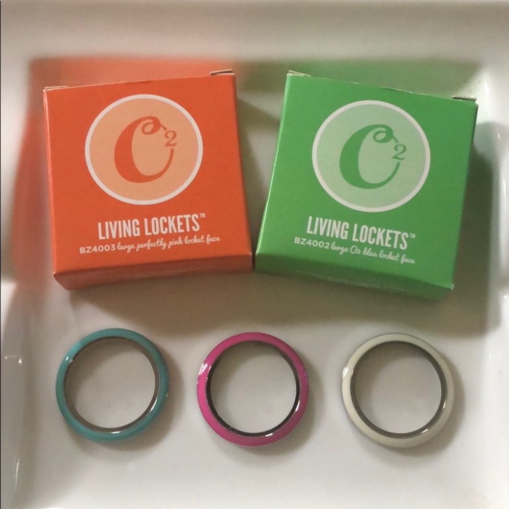 Origami Owl~ Large Twist Locket Face